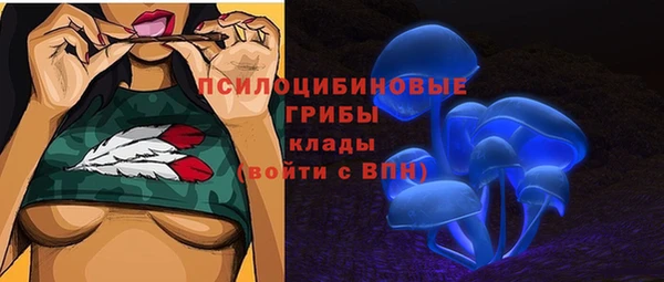 mdma Бородино