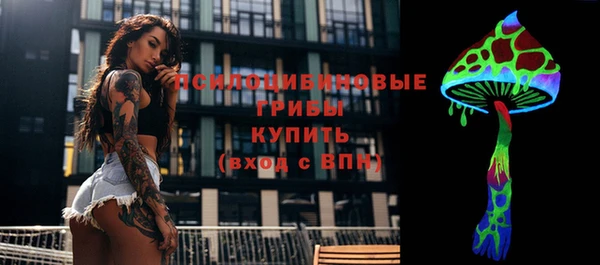 mdma Бородино