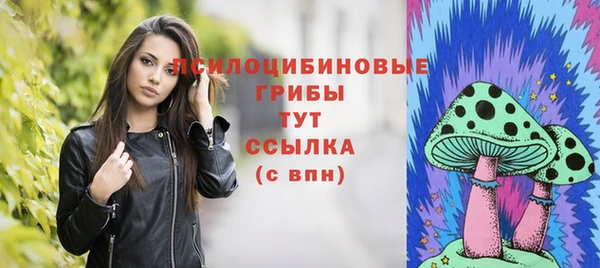 mdma Бородино