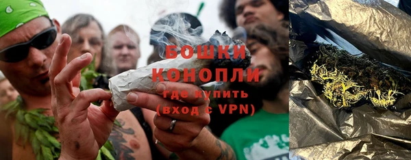 шишки Бугульма